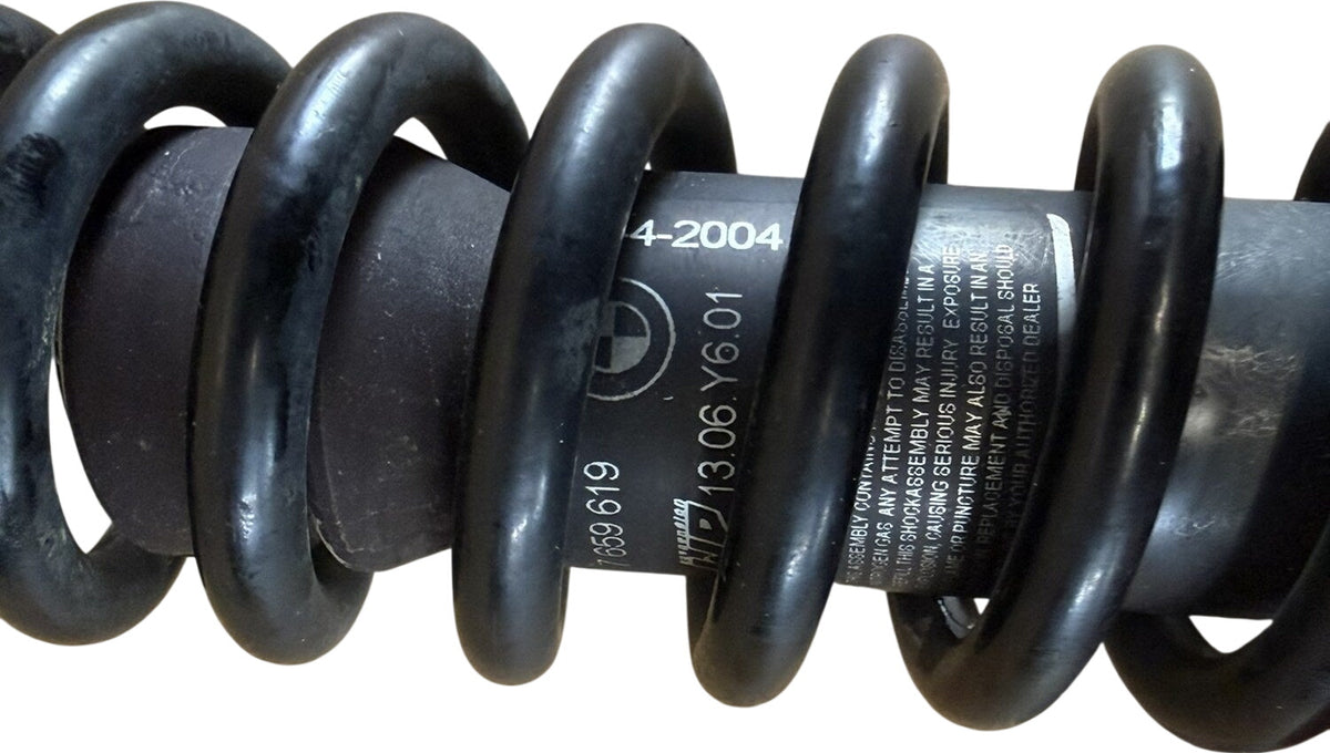 BMW front Telelever strut spring and label